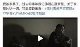 最新爆料家暴男子是谁啊