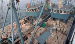 江苏爆料非法捕捞案件最新,守护碧水清波，严惩违法行为